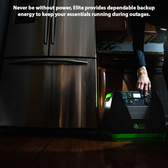 Nature's Generator Elite Gold - WE System